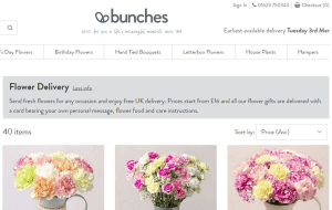 Preview 2 of the Bunches Flowers website