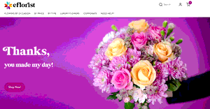 Preview 2 of the eFlorist website