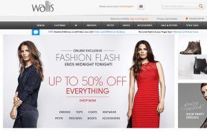 Preview 4 of the Wallis website