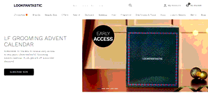 Preview 2 of the Look Fantastic website