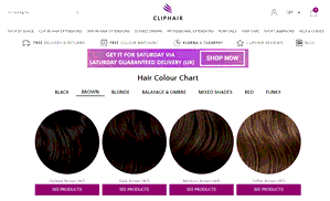Preview 2 of the Clip Hair website