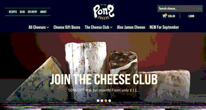 Preview 2 of the Pong Cheese website