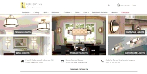 Preview 2 of the Net Lighting website