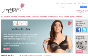 Preview 3 of the Ample Bosom website
