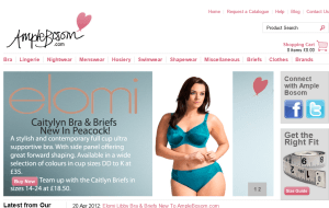 Preview 2 of the Ample Bosom website