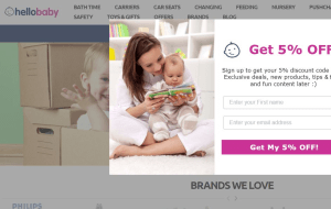 Preview 2 of the Hello Baby website