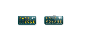 Preview 3 of the Easy Voyage website