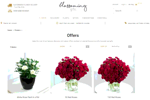 Preview 2 of the Blossoming Gifts website