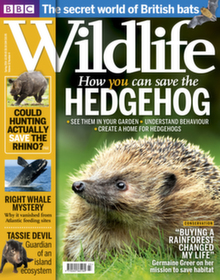 20% off with BBC Wildlife Magazine Subscription Discounts & Free ...