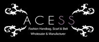 Acess Logo